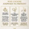 AndWhey Provance 85% Whey Protein 100g Tryout Pack | 30g Protein per Scoop