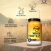 Avvatar Whey Protein Malai Kulfi 1kg