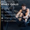 NAKPRO Gold Whey Protein Concentrate & Isolate 1kg Malai Kulfi