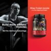 Version 1.0.0 ON Gold Standard Whey Double Rich Chocolate 907g