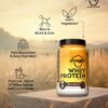 Avvatar Whey Protein Belgian Chocolate 1kg | 27g Protein | Isolate & Concentrate Blend