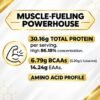 AndWhey HydroCore Whey Protein (Chocolate Flavor, 1kg)